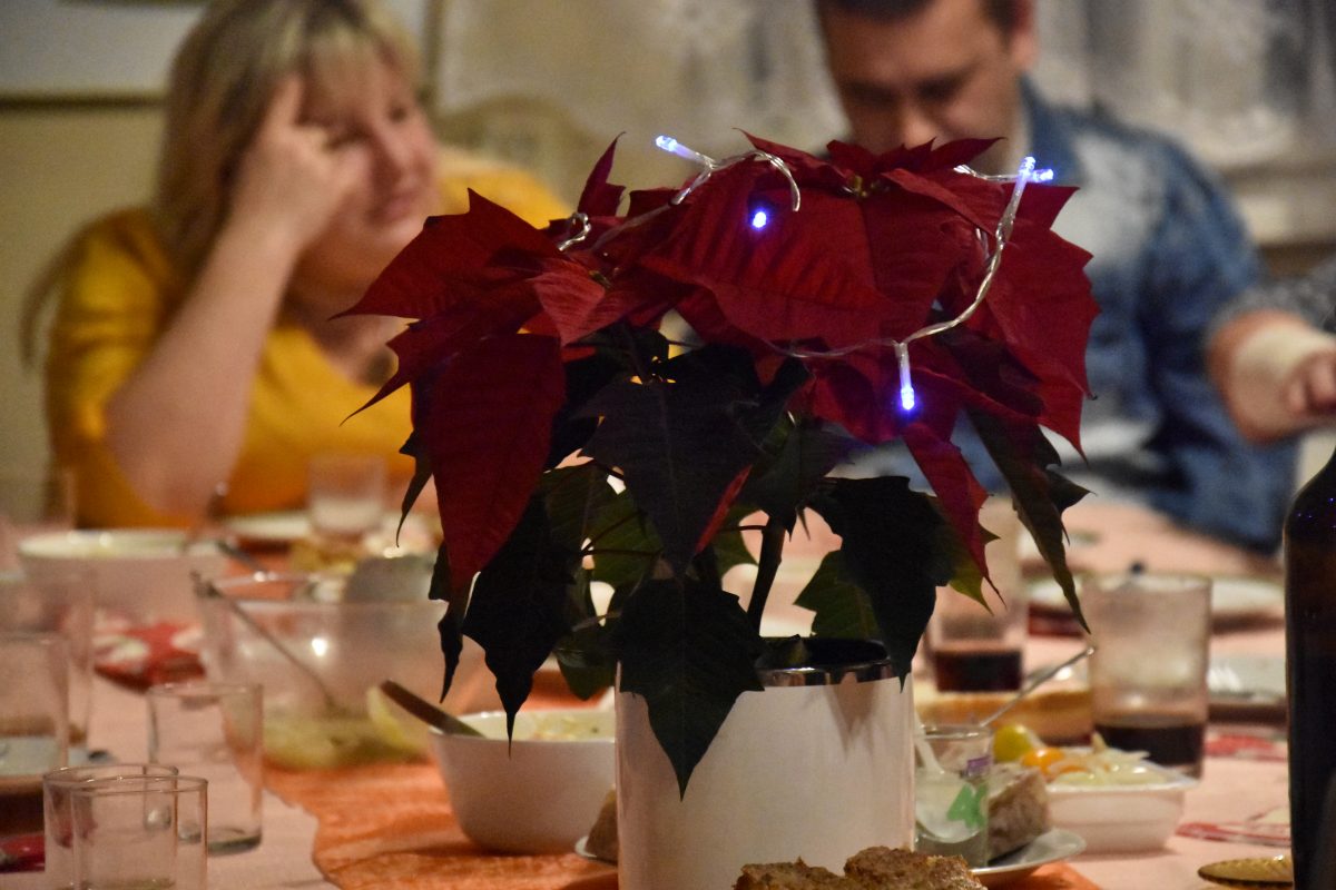 GRUDZIEŃ 2022 r w UKW